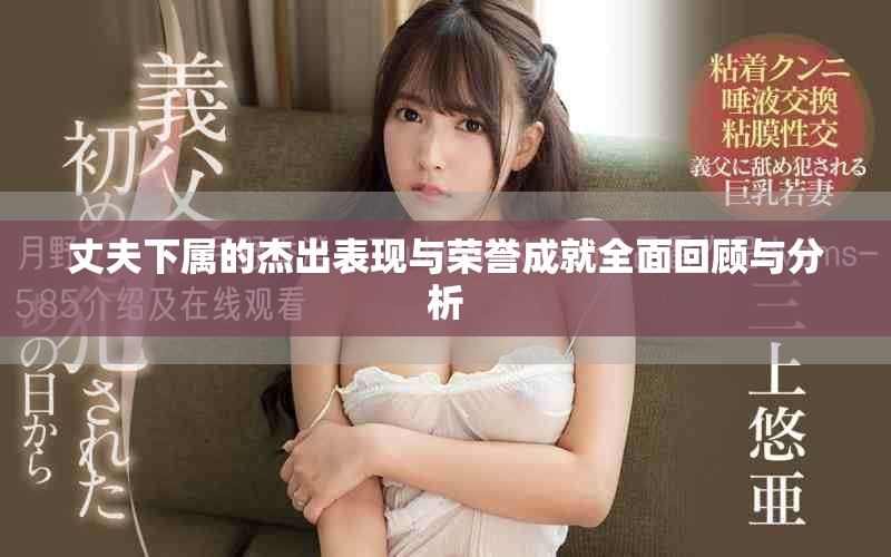 丈夫下属的杰出表现与荣誉成就全面回顾与分析