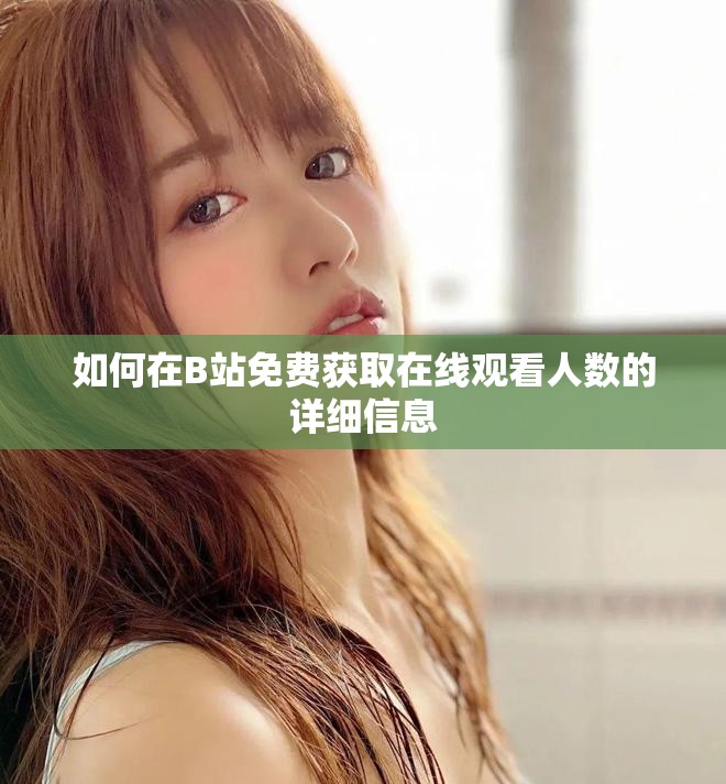 如何在B站免费获取在线观看人数的详细信息 如何在B站免费获取在线观看人数的详细信息
