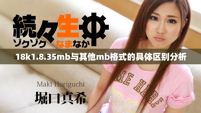 18k1.8.35mb与其他mb格式的具体区别分析